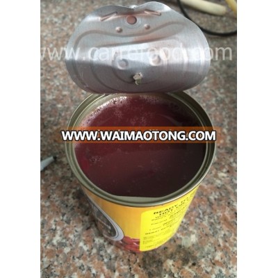 Good quality Canned kidney beans 400g from carrefood factory